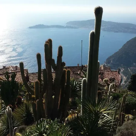 Serenity Les Pins Апартаменты